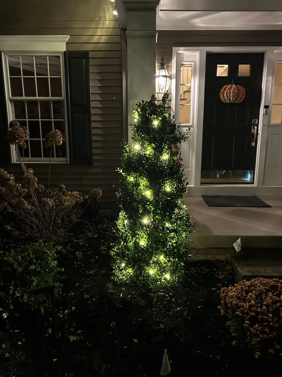 Lit evergreen beside a front door decorated for the holidays