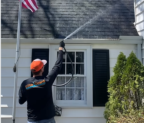 Roof Cleaning