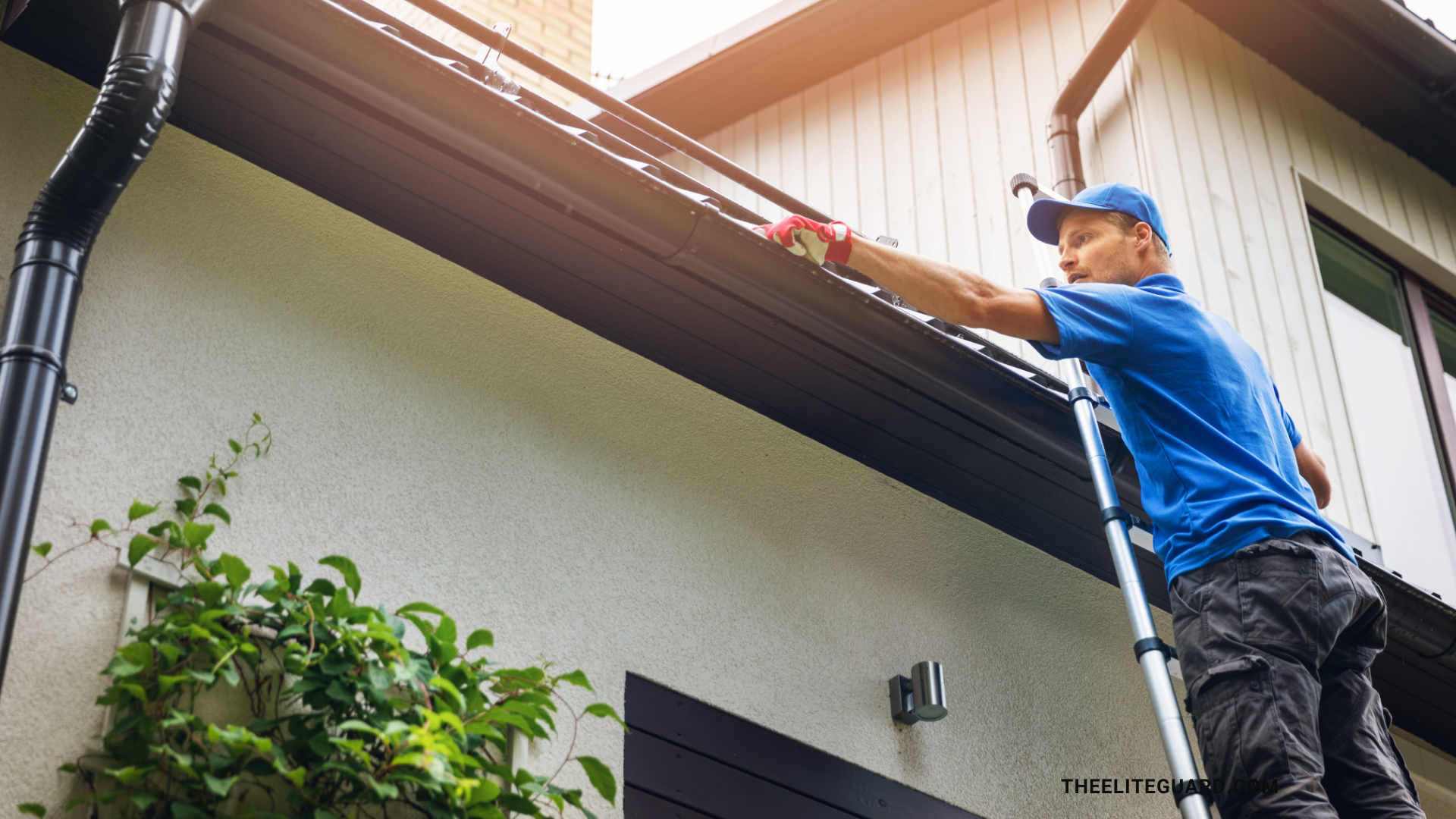 Elite Guard Power Washing gutter cleaning technician on ladder